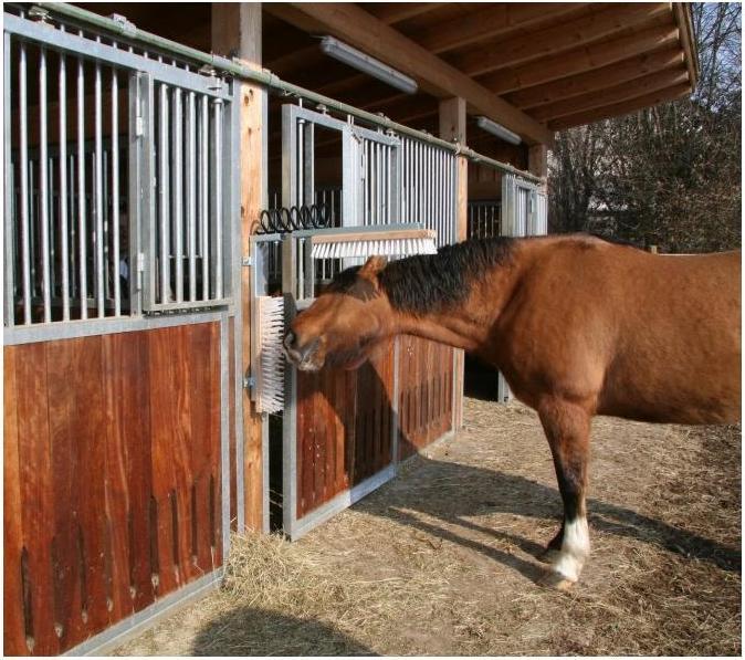Produktbild Kerbl Ersatzbürste zu Viehbürste Texas