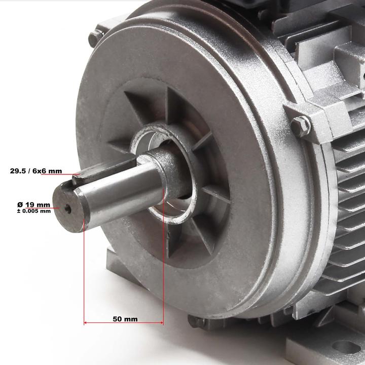 Actual product image Wiltec Electric motor