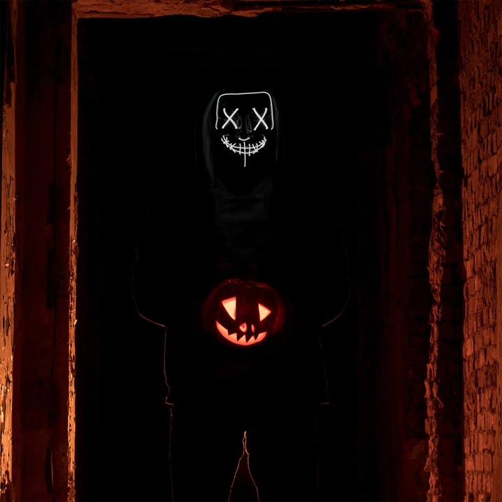 Immagine prodotto Out of the blue Maschera horror a LED bianca
