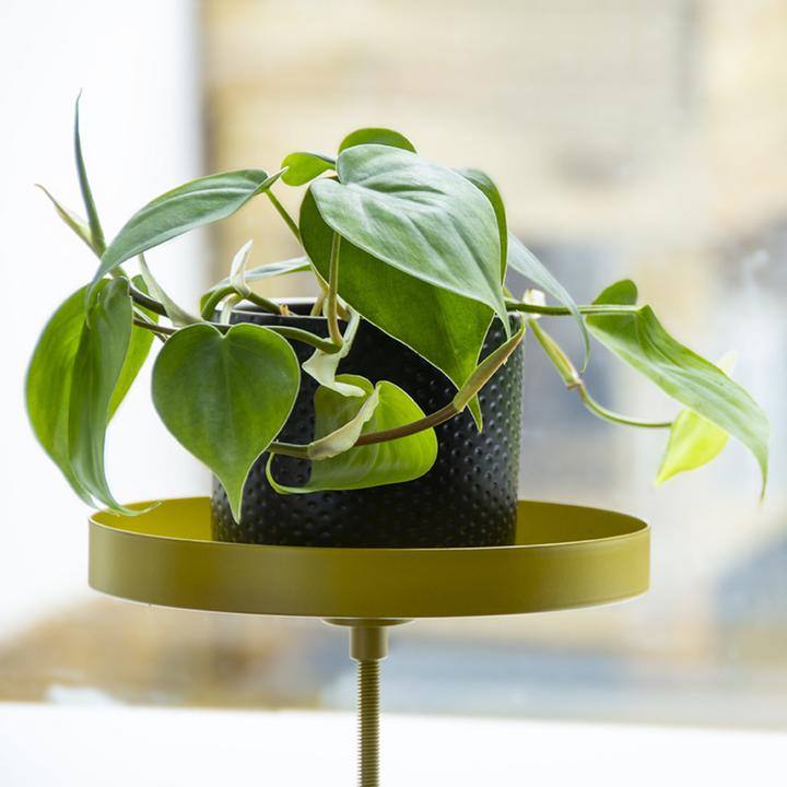 Produktbild Esschert Design Ablage