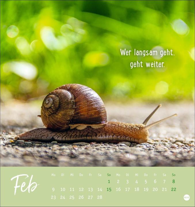 Produktbild Never give up! Postkartenkalender 2026 - Durchhalten. Denn alles wird gut (Deutsch)