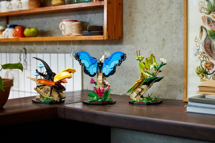 Image du produit LEGO La collection d'insectes (21342, LEGO Ideas)