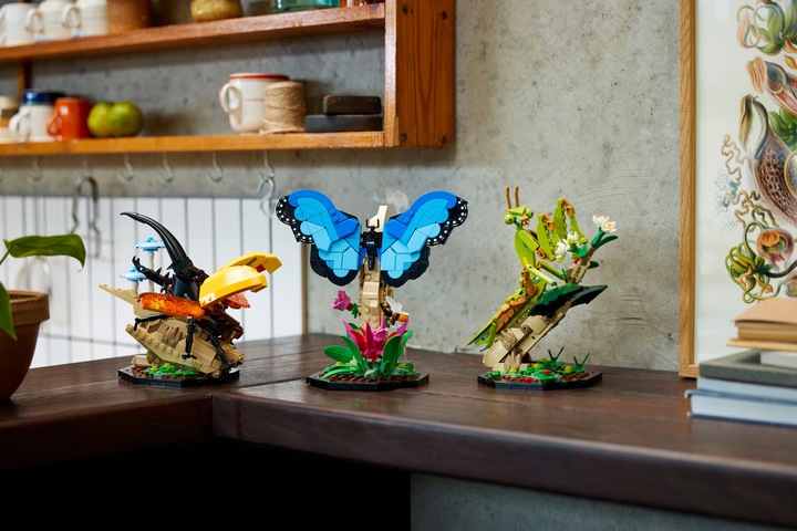 Actual product image LEGO Ideas The insect collection (21342, LEGO Ideas)