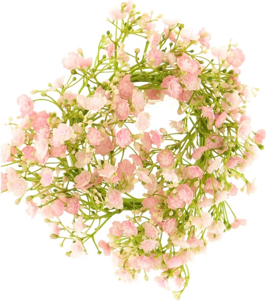 Produktbild Exner Garten und Wohnaccessoires Gypsophilia linz (1 x)