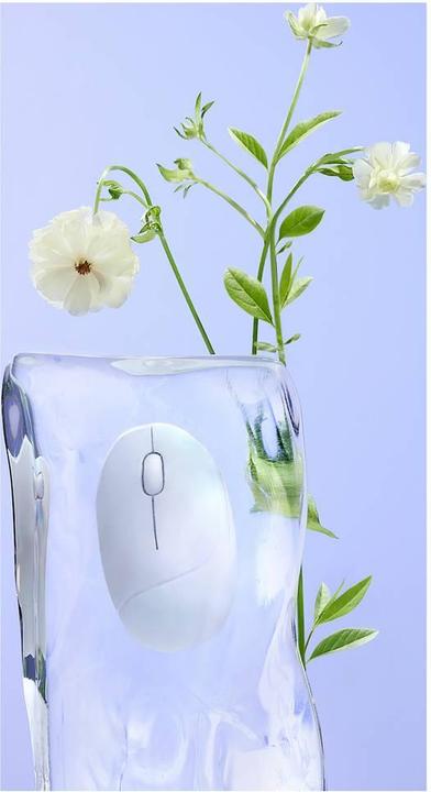 Productafbeelding ASUS MD101 MOUSE/WH (Draadloze)