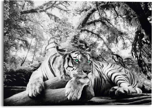 Produktbild Eibert Visual Bilder (100 x 140 cm)