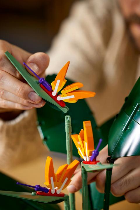 Actual product image LEGO Bird of Paradise (10289, LEGO Rare Sets)