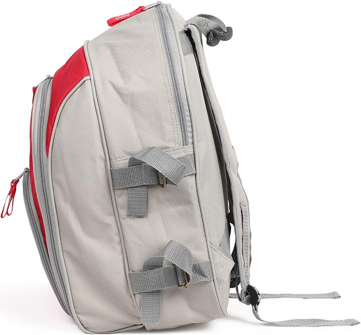 Actual product image Livoo Polyester 4 persons picnic backpack