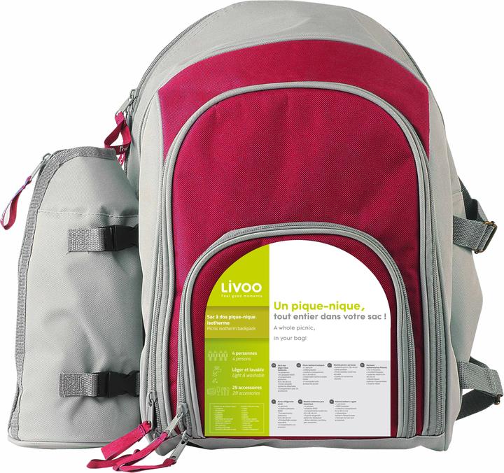 Actual product image Livoo Polyester 4 persons picnic backpack