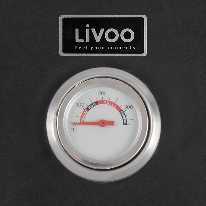 Actual product image Livoo Pizza oven for barbecue