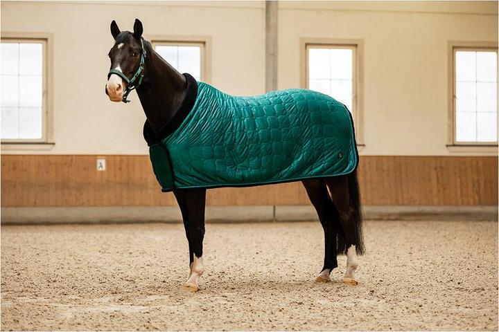 Produktbild BR Equestrian Equipment Clx (185 cm)