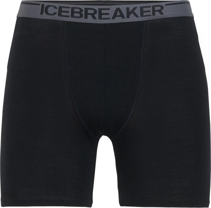 Icebreaker Anatomica (XL)