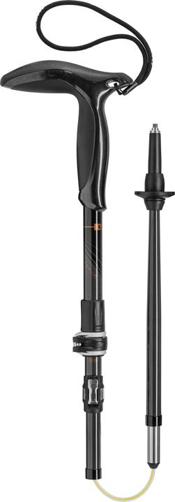 Actual product image Leki LE Legend Series Micro (85 - 100 cm)