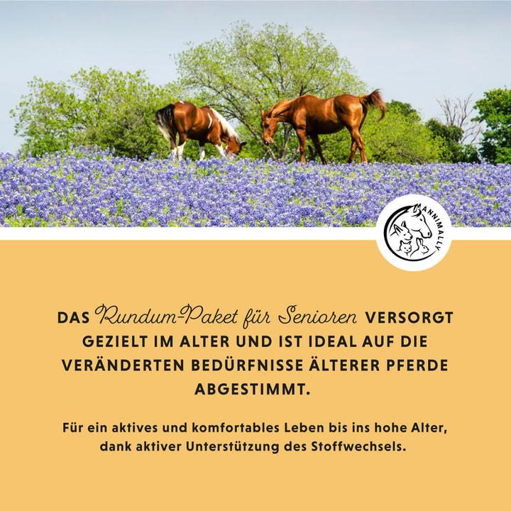 Produktbild Annimally Senior Vital Pulver (800 g)