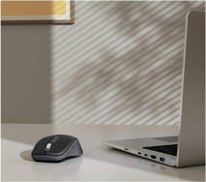 Actual product image Hama WM-450 (Wireless)