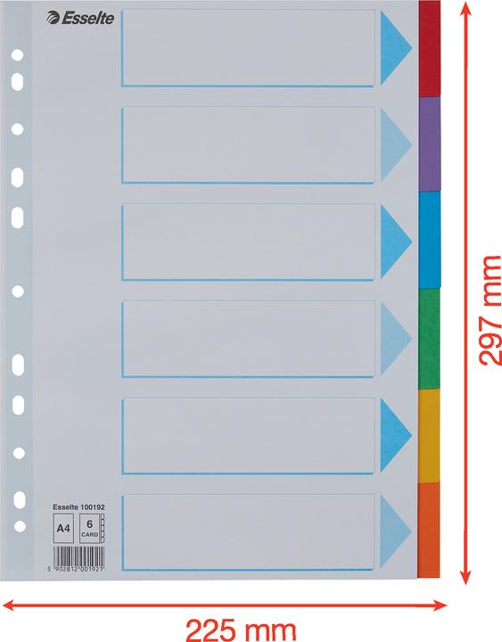 Esselte Register Karton