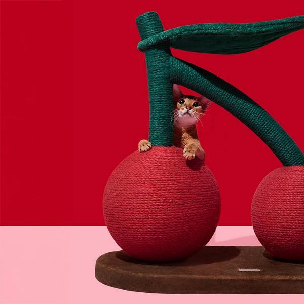 Produktbild Vetreska Cherry (66 cm)