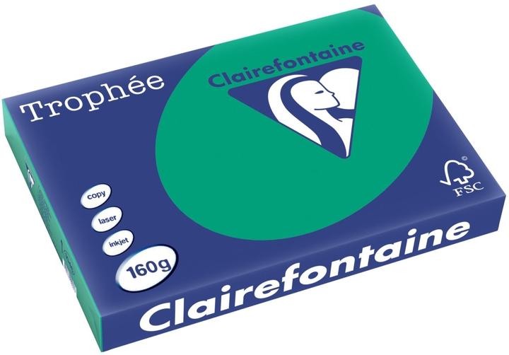 Actual product image Clairalfa Multifunctional paper, DIN A3, 160 gsm, fir green (160 g/m², 250 x, A3)