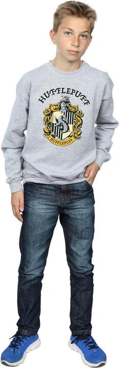 Produktbild Sweatshirt Jungen (140, 146)