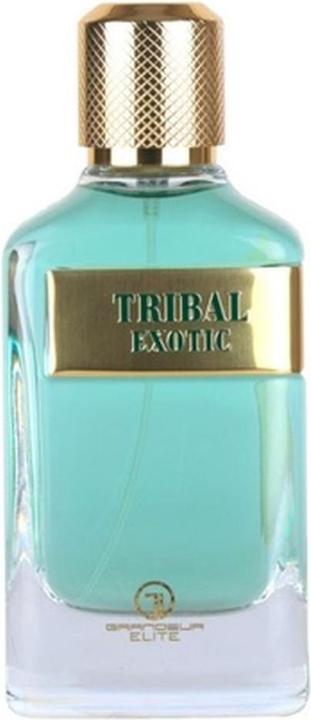 Actual product image Grandeur Elite Grandeur Tribal Exotic Eau De Parfum Spray 100ml (Eau de parfum, 100 ml)