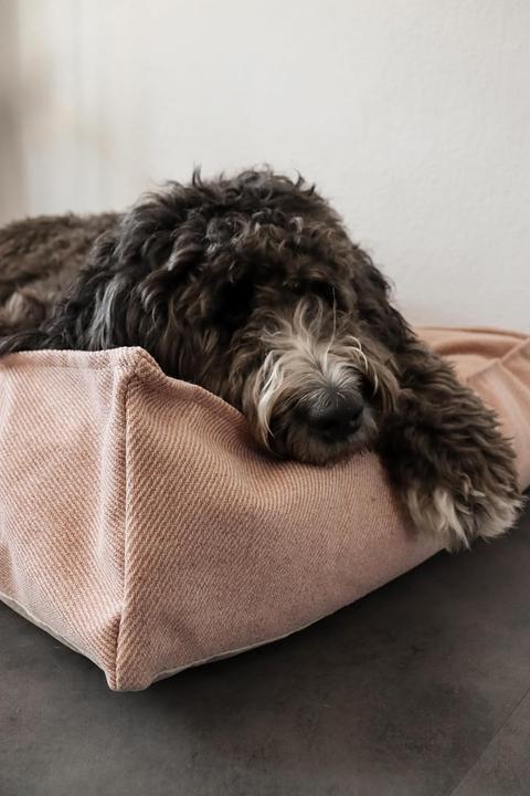 Produktbild Flamingo Baldar Orthopedisch Hondenbed â€“ Roze, 80 cm | Heerlijk Steunend & Zacht voor je Hond (Hund)
