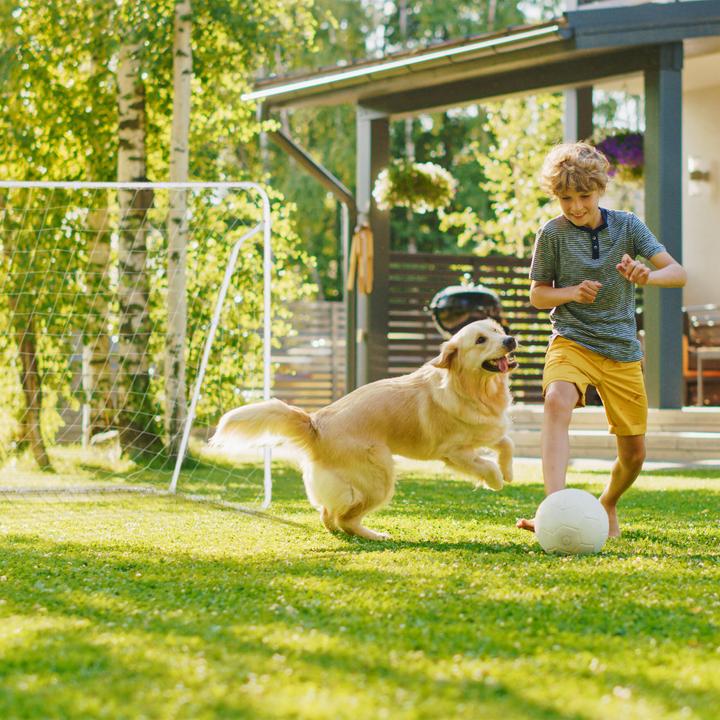 Produktbild Relaxdays Fussballtor