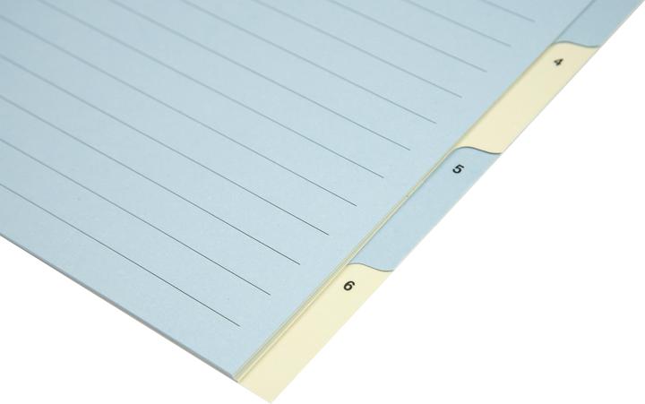 Immagine prodotto Biella Registrati Cartone