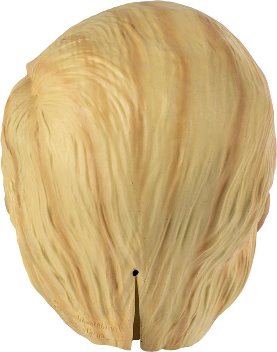 Produktbild Fun World Division Trump