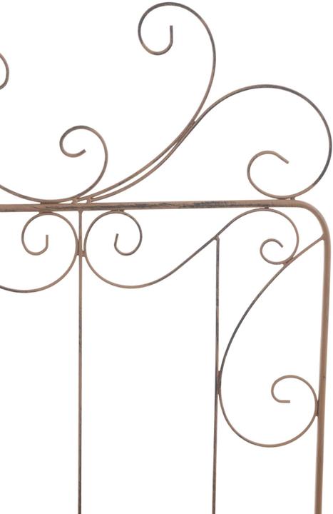 Actual product image CLP Mandevilla (1 cm, 99 cm)