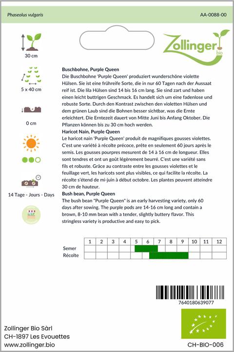 Produktbild Zollinger Bio Buschbohne, Purple Queen
