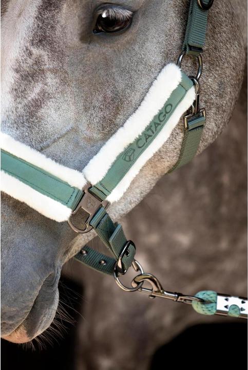 Actual product image Catago Laurel Wreath
