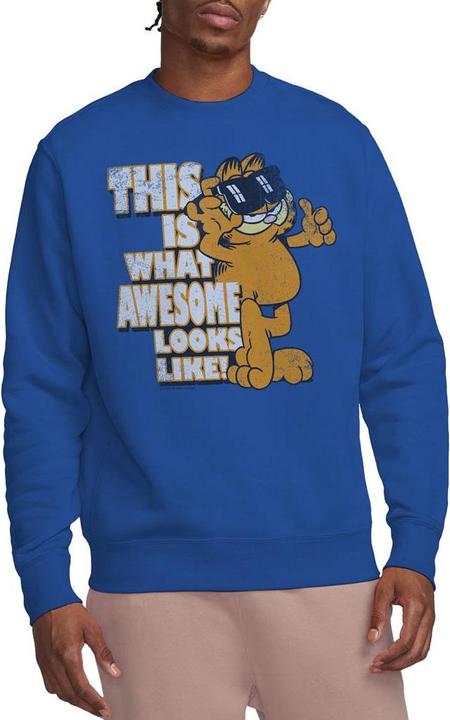 Produktbild Garfield Awesome Sweatshirt (L)