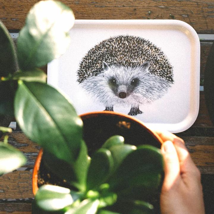 Produktbild Charlotte Nicolin klein Henry