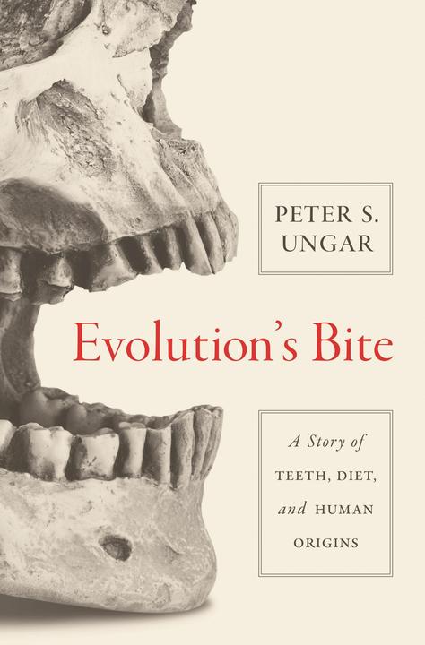 Produktbild Evolution`s Bite - A Story of Teeth, Diet, and Human Origins (Englisch, Peter Ungar)