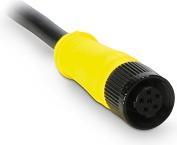 Image du produit Bernstein Cordon