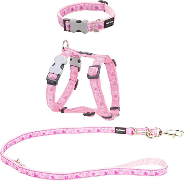 Actual product image Red Dingo RD Puppy Kit 12mm Breezy Love Pink XS (XS, Dog, Dog sport)