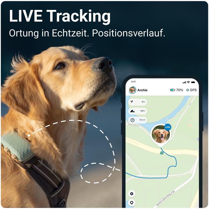 Actual product image Tractive DOG XL GPS Tracker for Dogs (Dog, General)
