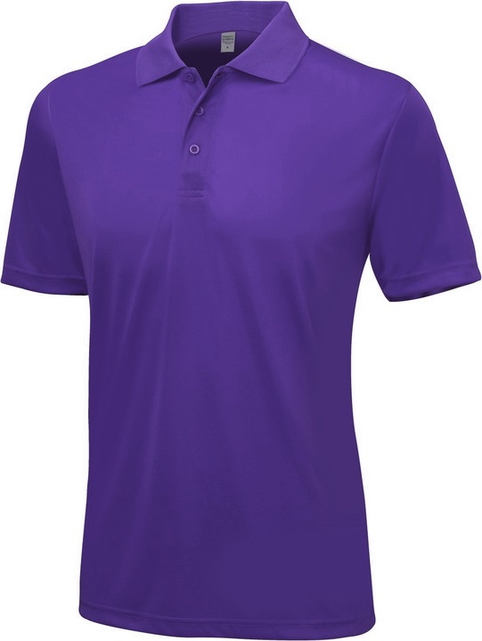Viola