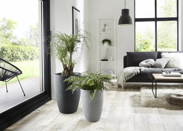 Produktbild Scheurich Barceo High (29 x 40 cm)