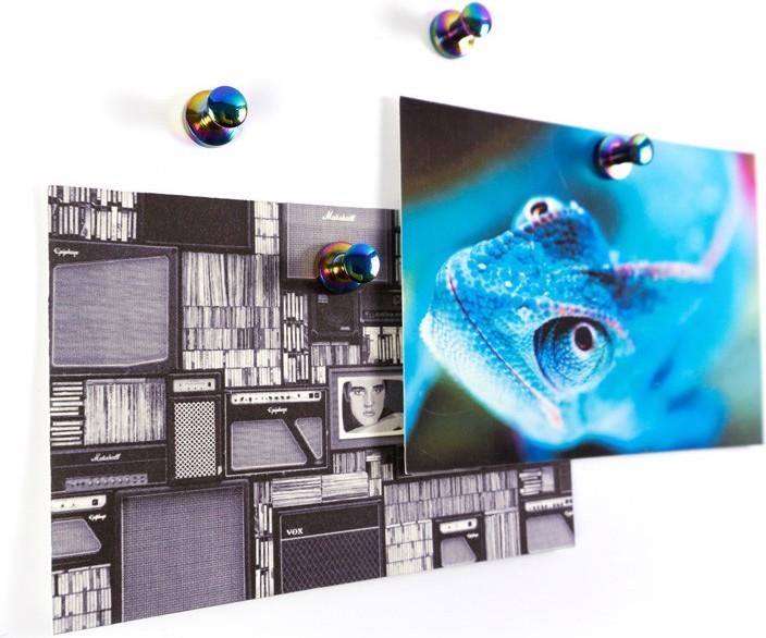 Produktbild Trendform Magnet MINI-MAX 4er rainbow superstrong (4x)