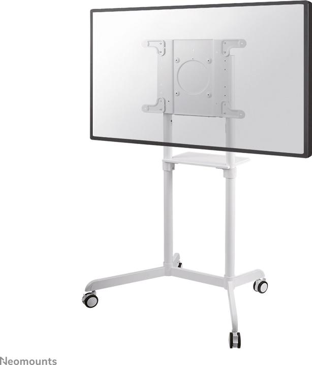 Neomounts NS-M1250 (Universal, 70", 70 kg)
