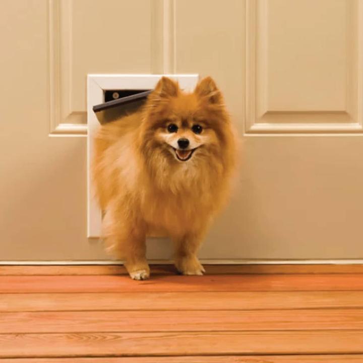 Produktbild PetSafe Katzenklappe (Manuelle Katzenklappe)