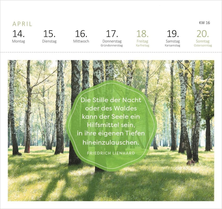 Actual product image Wald und wunderbar (17 x 17 cm, Soft cover, German)