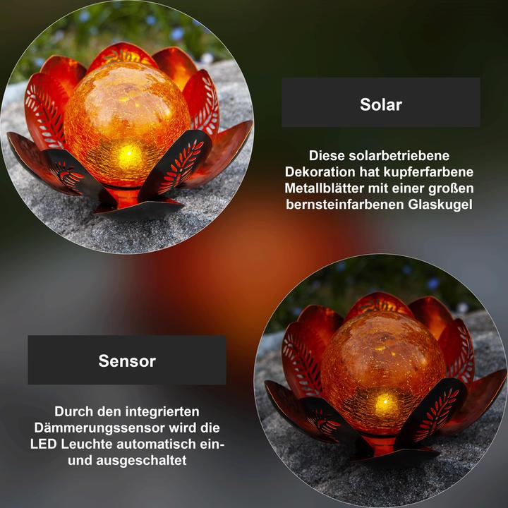 Image du produit Star Trading Solar Decoration Lilly (IP44)