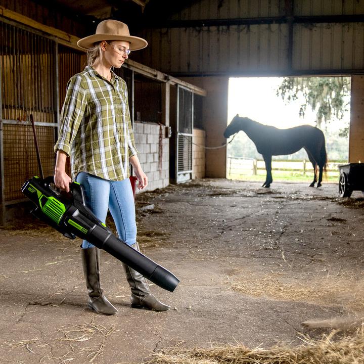 Actual product image Greenworks GD60AB (Rechargeable battery operated, Leaf blower)