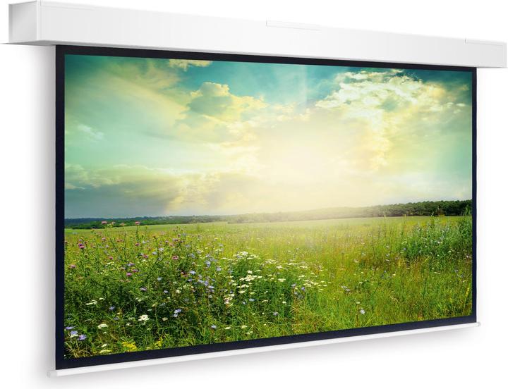 Actual product image Projecta Descender Large Electrol HDTV Format - screen - ceiling mount - motorized - (199", 16:9)