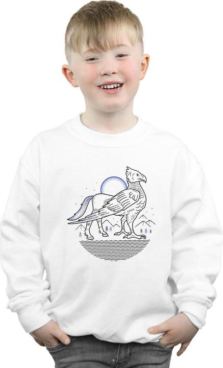 Image du produit - Sweat BUCKBEAK LINE ART - Garçon (116)