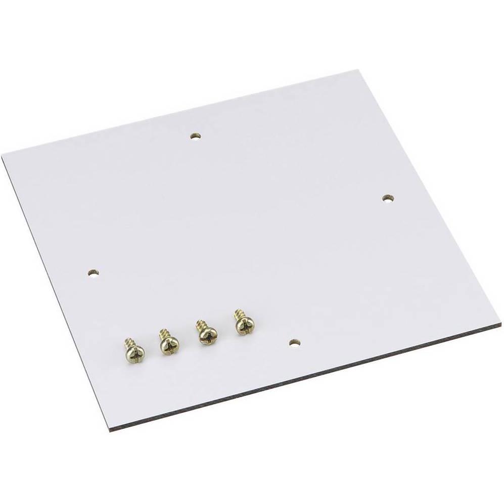 Spelsberg TK Montageplatte für Kunststoffgehäuse (Diverse), Elektronikzubehör + Gehäuse, Grau