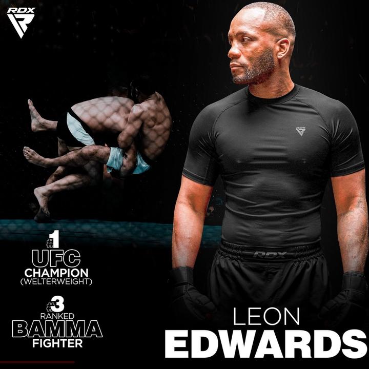 Image du produit Rdx Coquille Rex F6 (L)