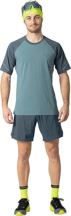 Actual product image Dynafit Alpine Pro Shirt Herren (XL)